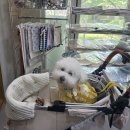 파주 썸띵플레이 후기｜그릇, 컵 구경하기 좋은 리빙 소품샵