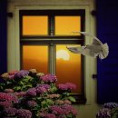 민행정사사무소 이미지