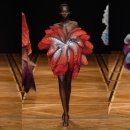 이리스(IRIS) 이미지