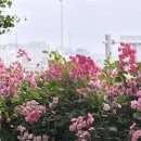 (주)넥스트에이드 | 2025. 06 첫째주 일상 blog