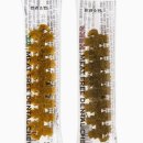 프리덴탈 이미지