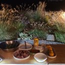 카멜스테이 이미지