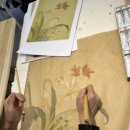 민화강좌 이미지