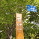 부모애숲 이미지