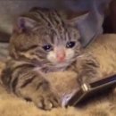 주문진식당 | 강릉 주문진남매식당 홍합밥+생선구이정식 후기/내돈내산