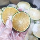 온유농장 이미지