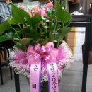 선인상사 이미지