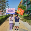 (학교)경포초 이미지