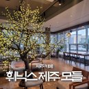 제주카페 휘닉스제주 모들 카페 전동카트 대여
