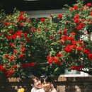 포남1동 | 강릉 봄 웨딩스냅 예약 꿀팁