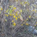 연희네집 이미지