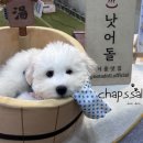 포우농장 | 2024 메가주 일산[하]