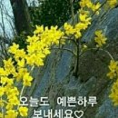 예쁜하루 - 서구 | 예쁜하루