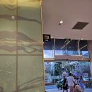 롯데마트 정문 | 베트남 나트랑 동 환전 롯데마트 atm 위치 트래블러스 카드 수수료 후기