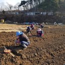 종삼농장 이미지