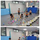 라우더 스포츠 이미지