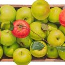 똑똑한 아트컬렉팅 이미지