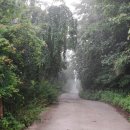 감나무골농장 이미지