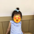 새라콜렉션 이미지