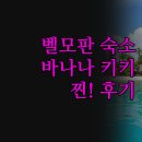 키키하우스 | 벨모판 숙소 추천 | 바나나 키키 아시엔다 | 실제 숙박 후기 | 완벽한 여행을 위한 선택 팁
