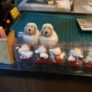 곰내미식육식당 이미지