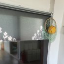 해오르기 민박 이미지