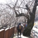 은어테마공원 주차장 이미지