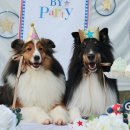 이지스힐 이미지