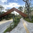 파라스파라 서울 이미지