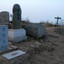 진달래꽃화원 이미지