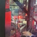 우쭈쭈 강아지 이미지
