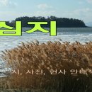 심지