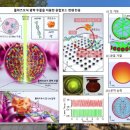 서울광학 이미지