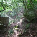 원주굽이길 17코스 동화마을진달래길 이미지