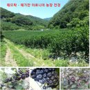 원금농장 네이버블로그