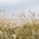 다랑쉬민박 이미지