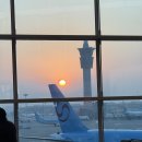 시안 | [ICN-XIY] 대한항공 인천-시안 탑승 후기