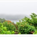 별 정원 이미지