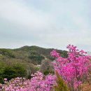 상림수목원 네이버블로그