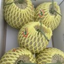 겸면농장 이미지