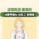 서울특별시 서초구 방배동 교정치과 총정리