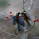 개울건너집 민박 이미지