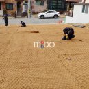 주차장약국 이미지