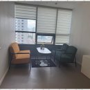 동탄나무로 이미지