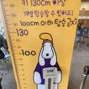 정선베다니자연농장 | 🎢 정선군 하이원리조트 체험리뷰(곤돌라·알파인코스터·동물원·구름담은카페) 🌿