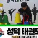 성덕태권도 이미지