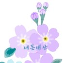 바르다김선생인천 이미지