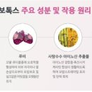 테드헤어 이미지