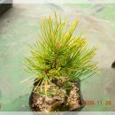 청파2농장 이미지