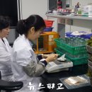 토양검정실 뉴스파고